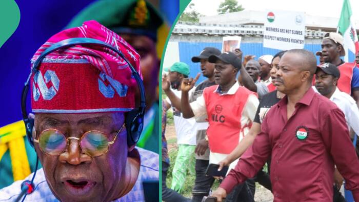 Full List: Lagos, Kano, Niger, others to join NLC nationwide strike as pressure mounts on Tinubu