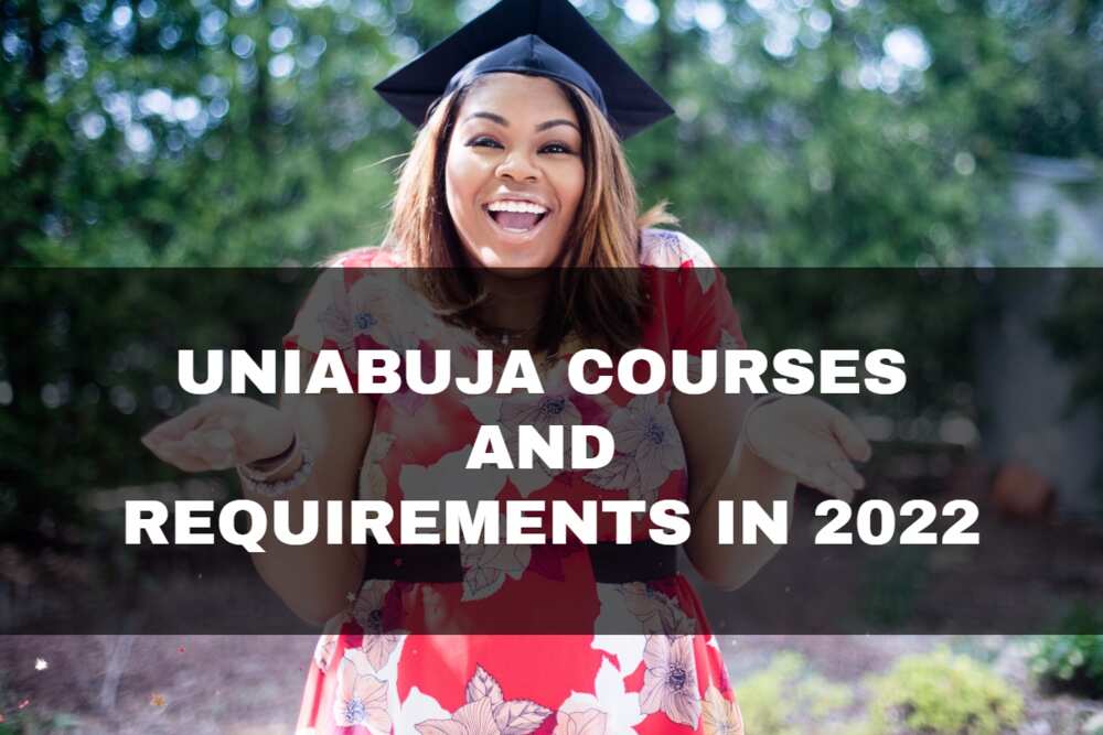 university of abuja courses and fees