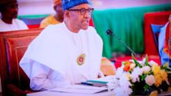 BREAKING: Buhari talks tough, exposes corrupt practice of governors