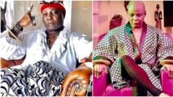 "To cool my head from hellish Nigeria": Charly Boy aka AreaFada on why he left the country amid 2023 advocacy
