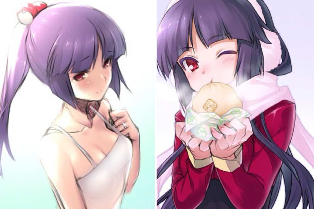 Pokémon female gym leaders Pokémon female gym leaders