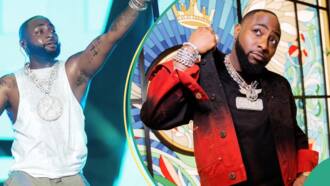 Beryl TV 501a81f7bb1e11b0 "Same Davido owing people is donating N300m": Daniel Regha reacts to OBO's recent announcement Entertainment 