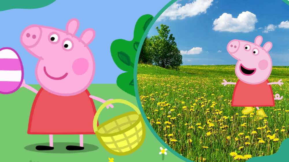How tall is Peppa Pig?
