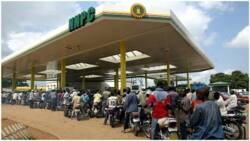 Fuel Subsidy Removal: Northern group threatens mass protest, condemns move by government