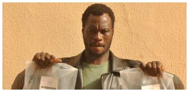 NDLEA records ground-breaking feat, nabs transborder trafficker with N1bn worth of hard substance in Sokoto