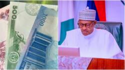 Cashless policy: Why Nigerians must commend Buhari, Emefiele by Anthony Eshemokhai