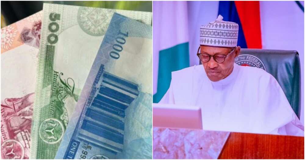 PDP chieftain, CBN naira redesign policy, President Muhammadu Buhari