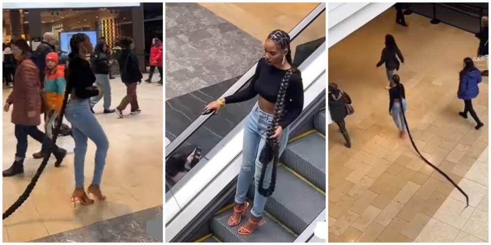 Braids, braided hairstyle Braids, braided hairstyle