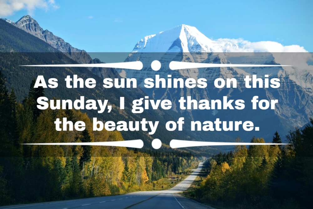 Thankful sunday blessings