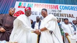 2023 polls: After shocking loss to opposition in Nasarawa, APC chair Adamu speaks on Tinubu's triumph
