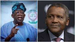 "Asiwaju of Nigeria": Dangote thanks Tinubu for creating Lekki Free Trade Zone, reveals 3 govs' roles