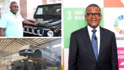 Dangote Joins Forces With Peugeot, Starts Vehicle Assembly Company, Firm Begins Operatons