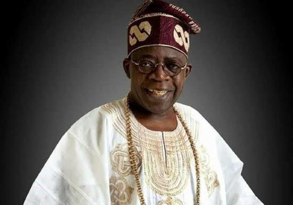 Bola Tinubu, APC, politics in Nigeria, 2023 presidential election