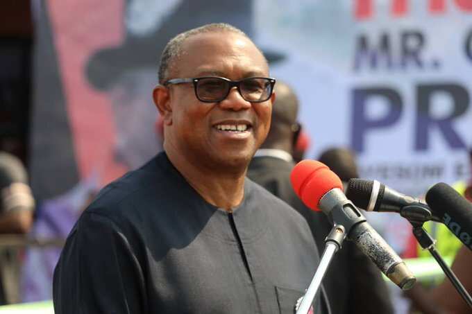 Peter Obi, Labour Party, 2023 presidential election, Ohanaeze Ndigbo, southeast, Igbo presidency