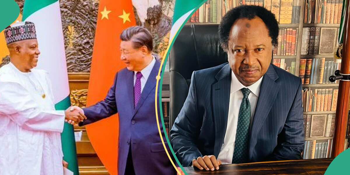 See what former northern senator told Tinubu to do as Chinese seizes 2 Nigerian govt properties in UK