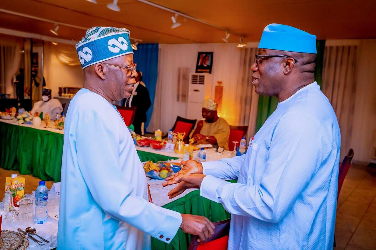 Read full details of whhy Governor Fayemi belives Tinubu should succeed Buhari as president