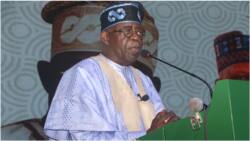 Worker's Day: Tinubu promises beyond "minimum wages" for civil servants, reveals what to expect