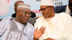 Atiku versus Buhari: I was asked to sign presidential poll result or get removed as N-Power beneficiary - Witness alleges