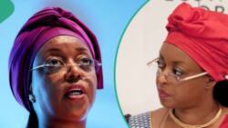 Diesani Alison-Madueke: Ana Tuhumar Tsohuwar Ministan Jonathan Da Cin Hanci, Yan Sandan Birtaniya Sun Yi Bayani