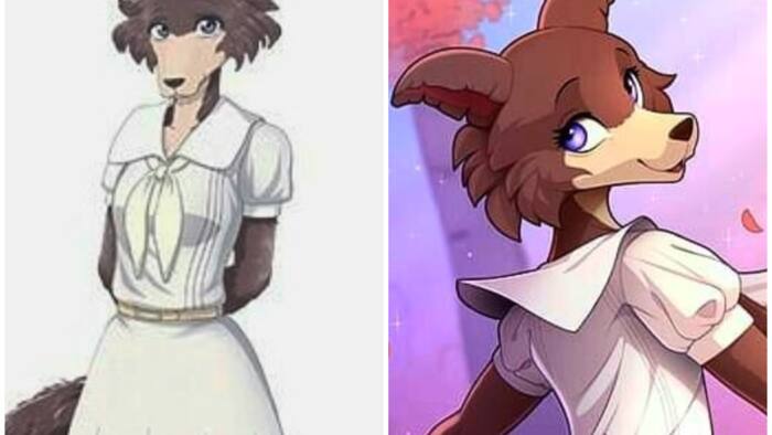 Beastars : qui est le personnage Juno dans l'animé et le manga ?