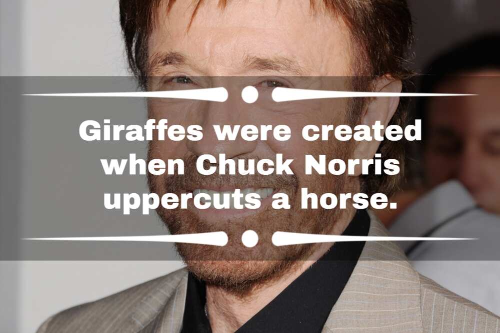 Chuck Norris' sayings