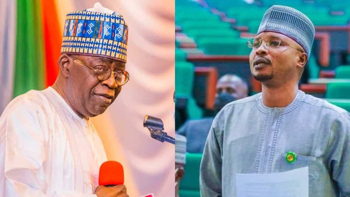 2023: Northern lawmaker dumps his party candidate, endorses Tinubu, explains why