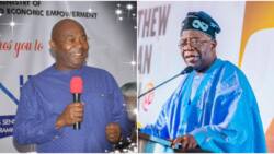 2023: Rivers PDP chairman endorses Tinubu? Jagaban's ally gives shattering news