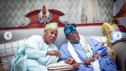 Masari Ya Shiga Sallamar Masu Rike da Mukamai Tun da Aka Kunyata Tinubu a Katsina