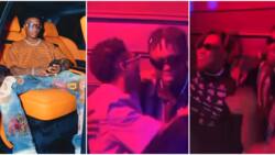 "Popsy just dey everywhere": Video as Wizkid, Lojay,& Buju BNXN party hard like brothers in a club
