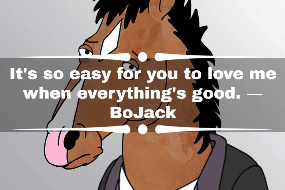 Deep BoJack Horseman quotes