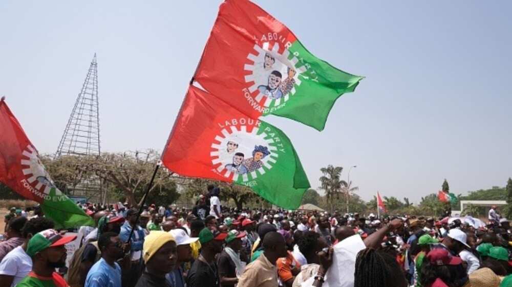 Labour Party/2023 Governorship Election/Benue State/Idu Onyiloyi/Ochechi Adejor