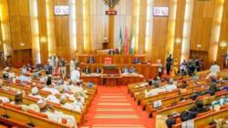 Senate presidency: Group raises alarm on vote buying, seeks intervention of anti-corruption agencies