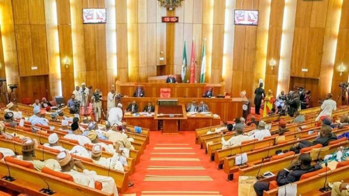 Senate presidency: APC leadership reportedly reveals name of favoured candidate