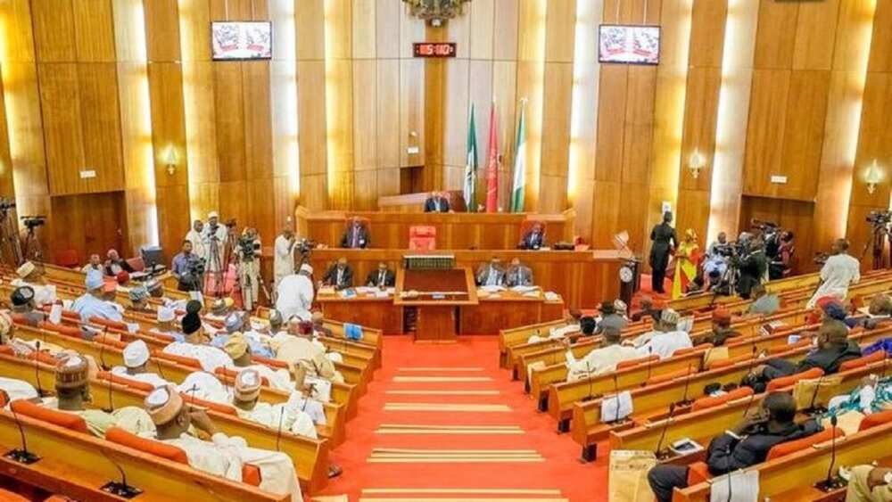 2023 Elections Results: Updated List of National Assembly Seats Won by APC, PDP, Labour Party, Others So Far