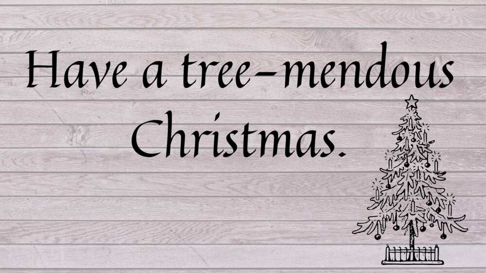 Christmas tree puns