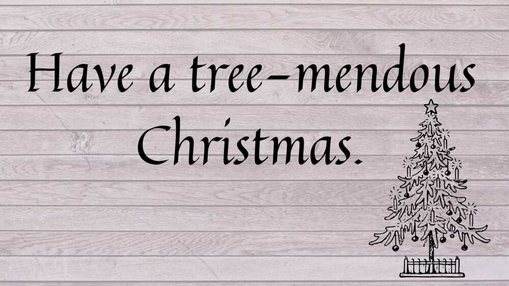Christmas tree puns Christmas tree puns