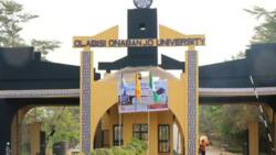 Amidst ASUU strike, powerful university moves on, appoints new VC