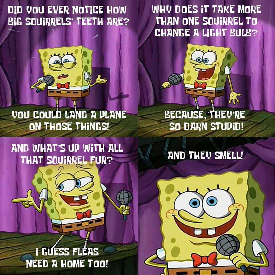 spongebob funny quotes and sayings