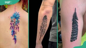 Feather tattoo meaning, history, and 15 unique designs for your next piece