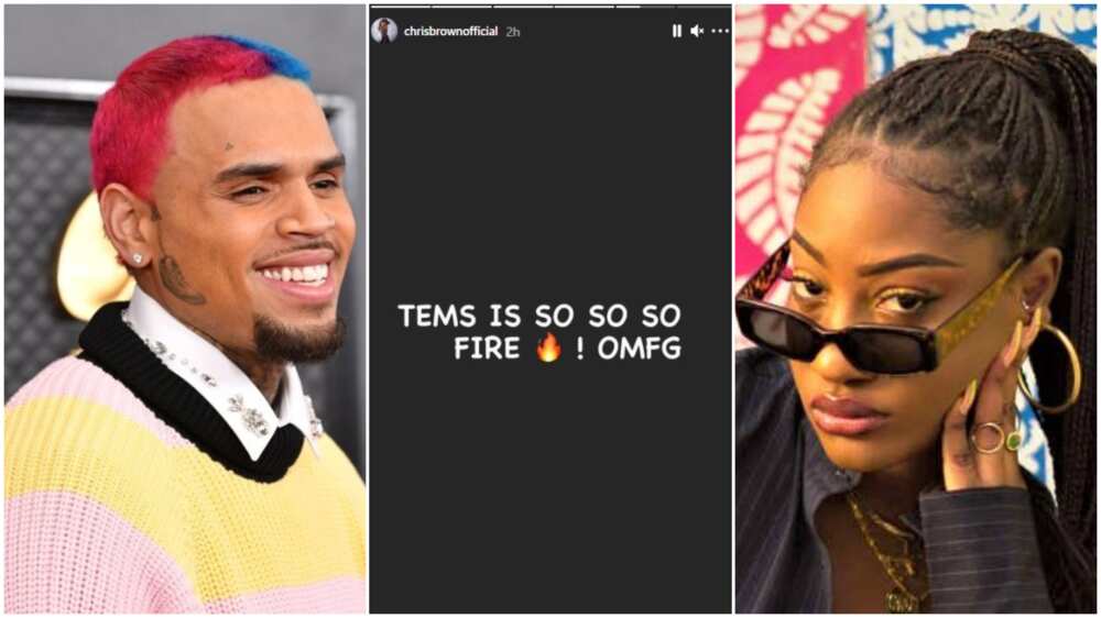 Chris Brown throws weight behind Nigerian singer Tems, says she's fire