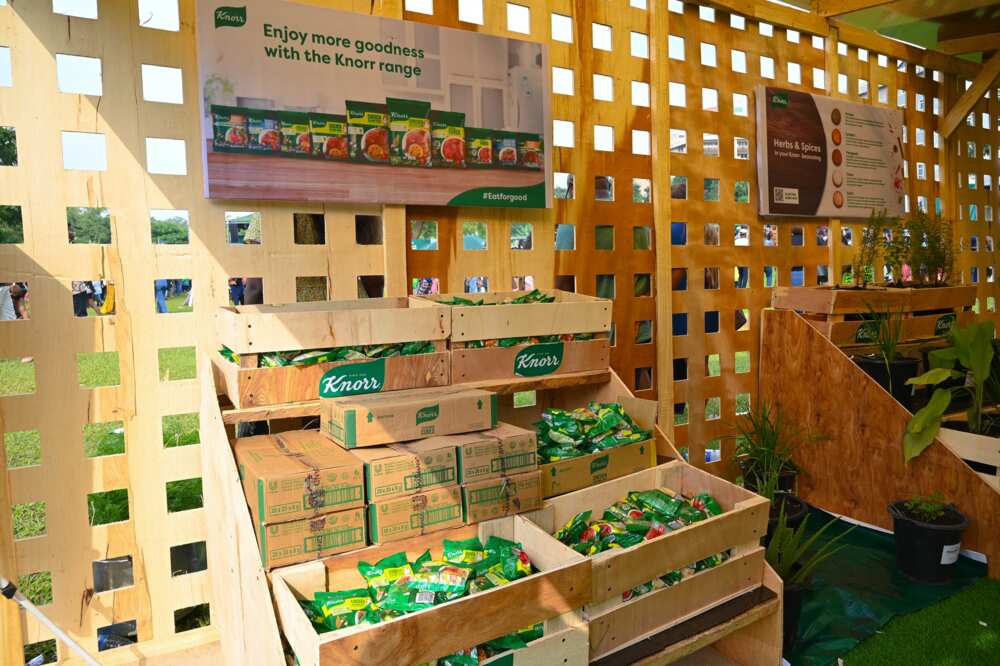 Spicing Up the Capital: Knorr Jollof Fest Thrills Abuja Spicing Up the Capital: Knorr Jollof Fest Thrills Abuja
