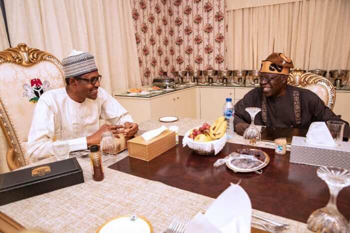 Afenifere ta bayyana dalilin da yasa Tinubu yake tsoron tunkarar Buhari a kan bahallatsar makiyaya da Yoruba