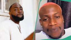 "Where I for start to barb from?" Wizkid FC barber shares rare photo of Davido's bald head