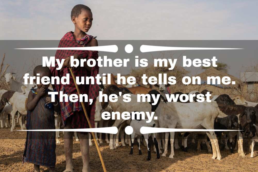 100+ genuine brother and sister quotes to send to your sibling 100+ genuine brother and sister quotes to send to your sibling