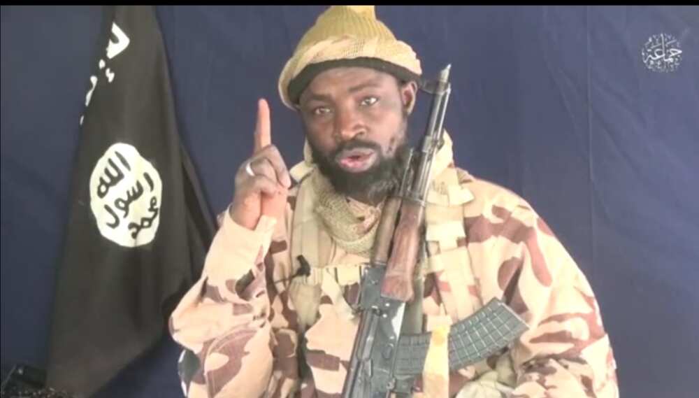 Da Dumi-Dumi: ISWAP Sun Afkawa Mafakar Shekau, Ya Kashe Kansa da Kansa