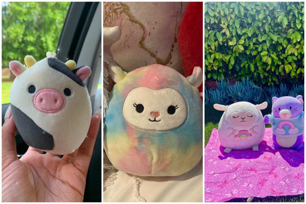 Are these plush legit? They dont look bad but its unusual that