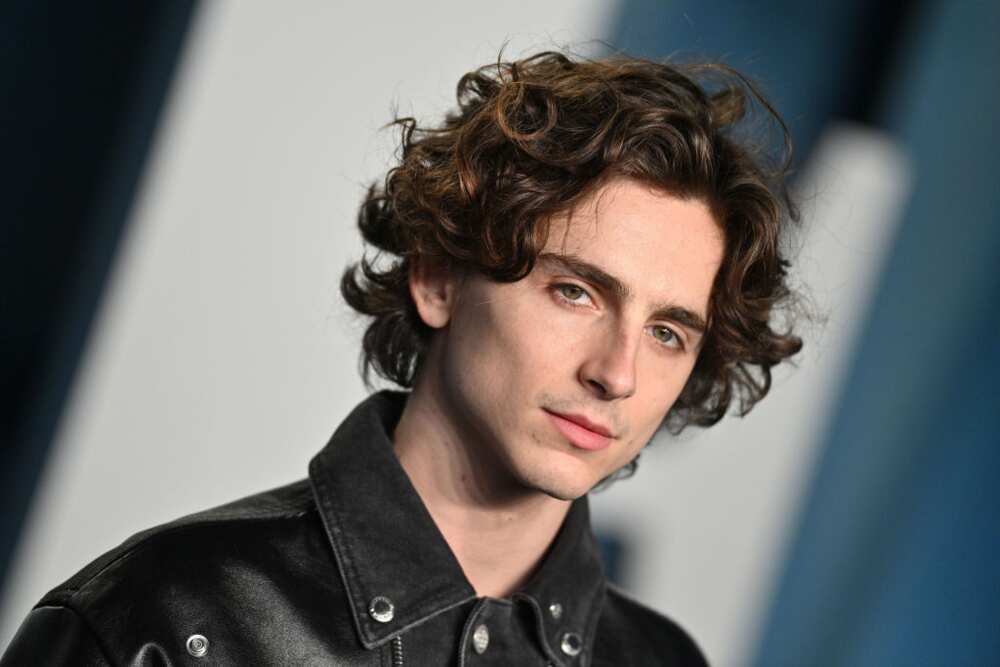 A Brief History of Timothée Chalamet's Beautiful Hair