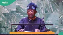 Tinubu approved salary increment for federal tertiary institutions staff? Here's what we know