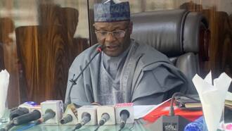 2023 governorship elections results: 4 states where INEC is yet to declare winners and why