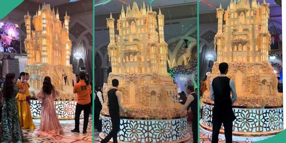 Couple shows off giant cake.